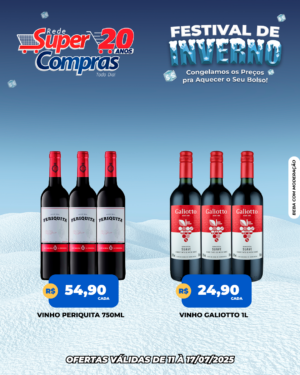 Feed - Festival de Inverno - 3