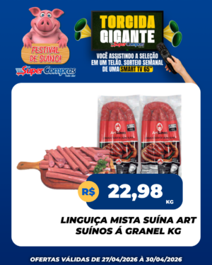 Festival Suíno verão - feed - 4