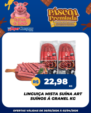 Festival Suíno verão - feed - 5