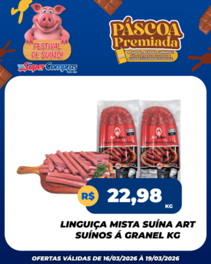 Festival Suíno verão - feed - 7