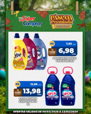 Festivao de verão - feed - 10