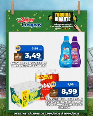 Festivao de verão - feed - 10