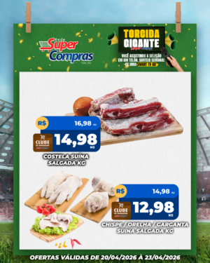 Festivao de verão - feed - 10