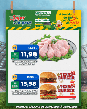 Festivao de verão - feed - 10