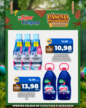 Festivao de verão - feed - 10