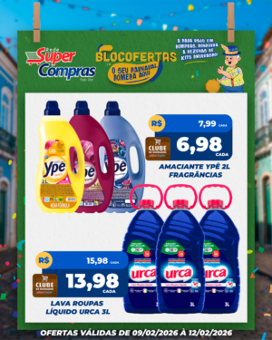 Festivao de verão - feed - 10