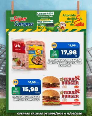Festivao de verão - feed - 11