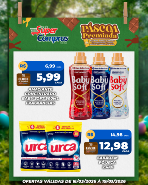 Festivao de verão - feed - 11