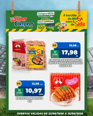 Festivao de verão - feed - 11