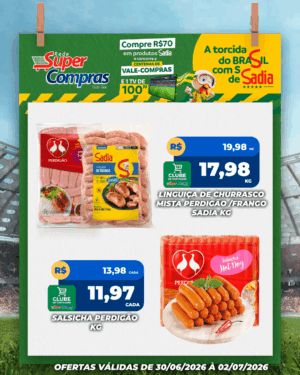 Festivao de verão - feed - 11