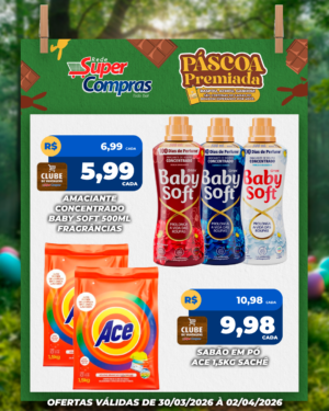 Festivao de verão - feed - 11