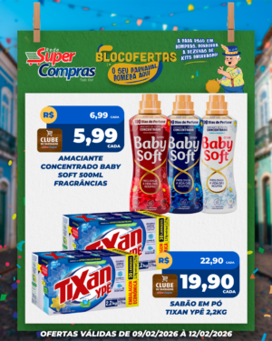 Festivao de verão - feed - 11