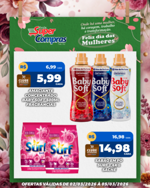 Festivao de verão - feed - 11