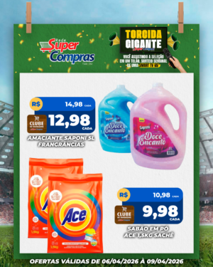 Festivao de verão - feed - 11