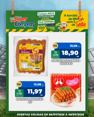 Festivao de verão - feed - 11