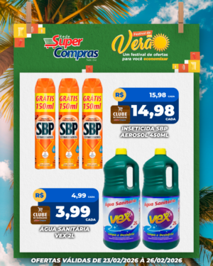 Festivao de verão - feed - 12