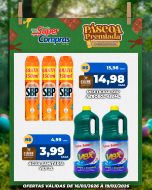 Festivao de verão - feed - 12