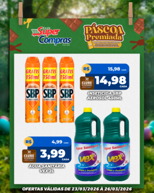 Festivao de verão - feed - 12