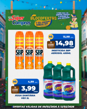 Festivao de verão - feed - 12