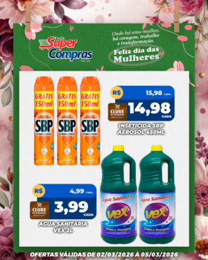 Festivao de verão - feed - 12