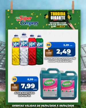 Festivao de verão - feed - 12