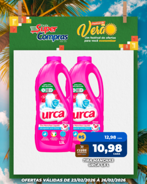 Festivao de verão - feed - 13