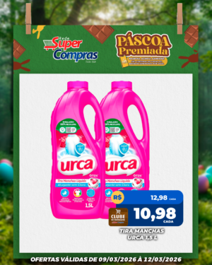 Festivao de verão - feed - 13