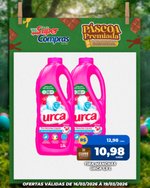 Festivao de verão - feed - 13