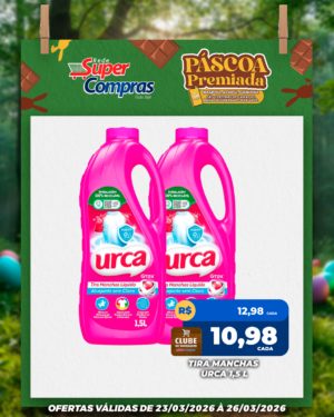 Festivao de verão - feed - 13