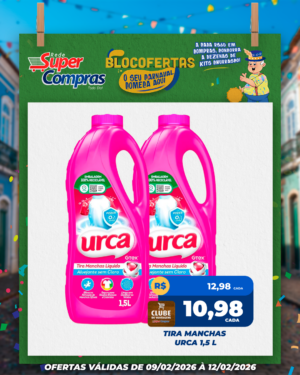 Festivao de verão - feed - 13