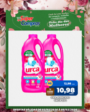 Festivao de verão - feed - 13