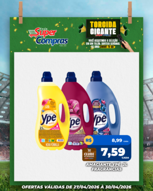 Festivao de verão - feed - 16