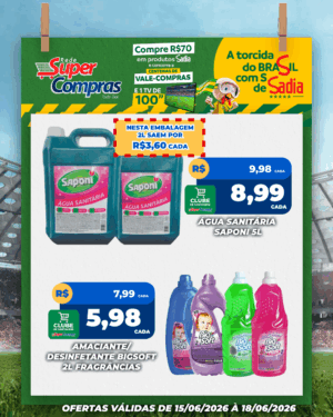 Festivao de verão - feed - 17