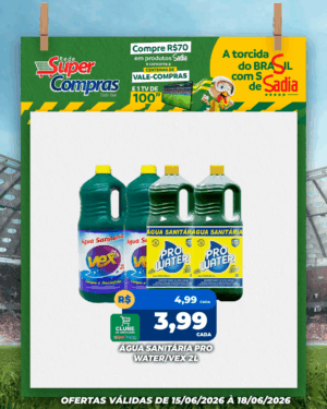Festivao de verão - feed - 18
