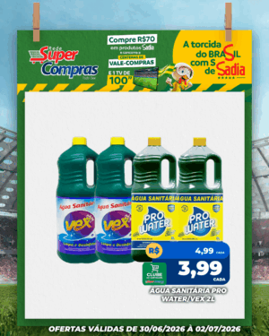 Festivao de verão - feed - 18