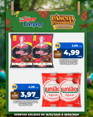 Festivao de verão - feed - 2