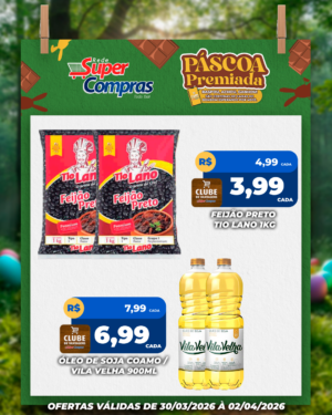 Festivao de verão - feed - 2