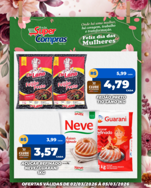 Festivao de verão - feed - 2