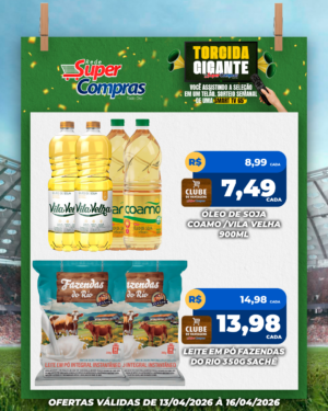 Festivao de verão - feed - 4