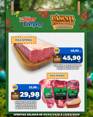 Festivao de verão - feed - 7