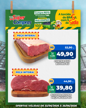 Festivao de verão - feed - 7