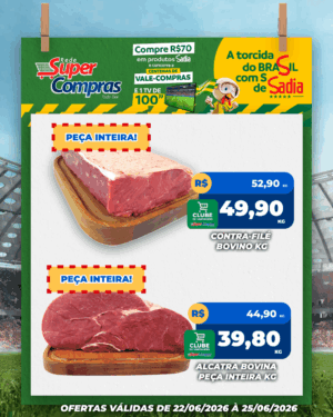 Festivao de verão - feed - 7