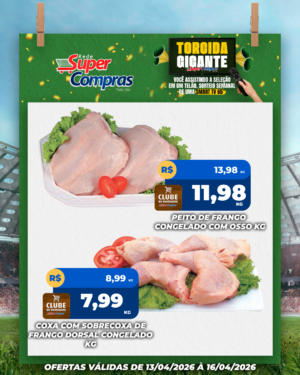 Festivao de verão - feed - 8