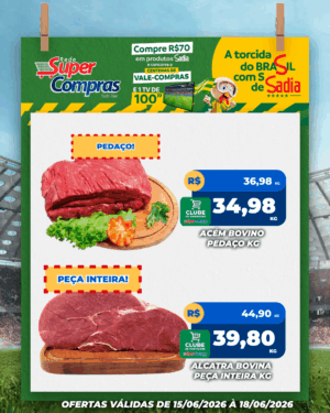 Festivao de verão - feed - 8