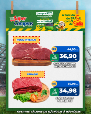Festivao de verão - feed - 8