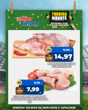 Festivao de verão - feed - 8