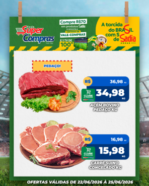 Festivao de verão - feed - 8