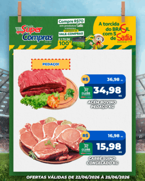 Festivao de verão - feed - 8