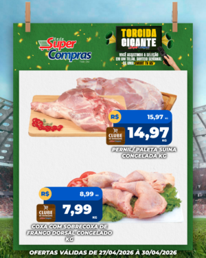 Festivao de verão - feed - 8