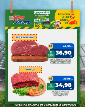 Festivao de verão - feed - 8
